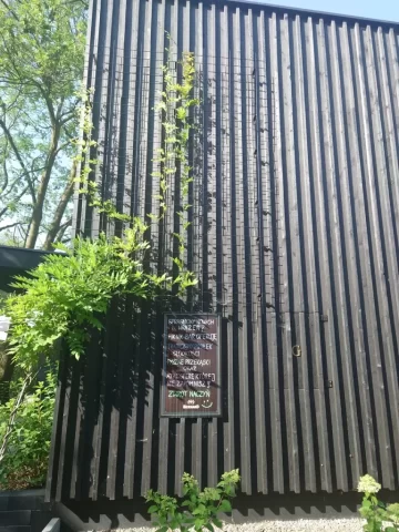 Elewacja Shou Sugi Ban - Modrzew - Degmeda - Bielsko Biała