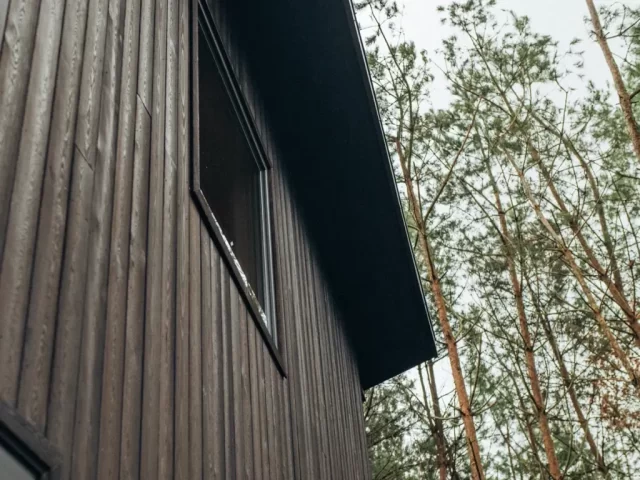 Elewacja Shou Sugi Ban - Degmeda, Modrzew - Sadłóżek