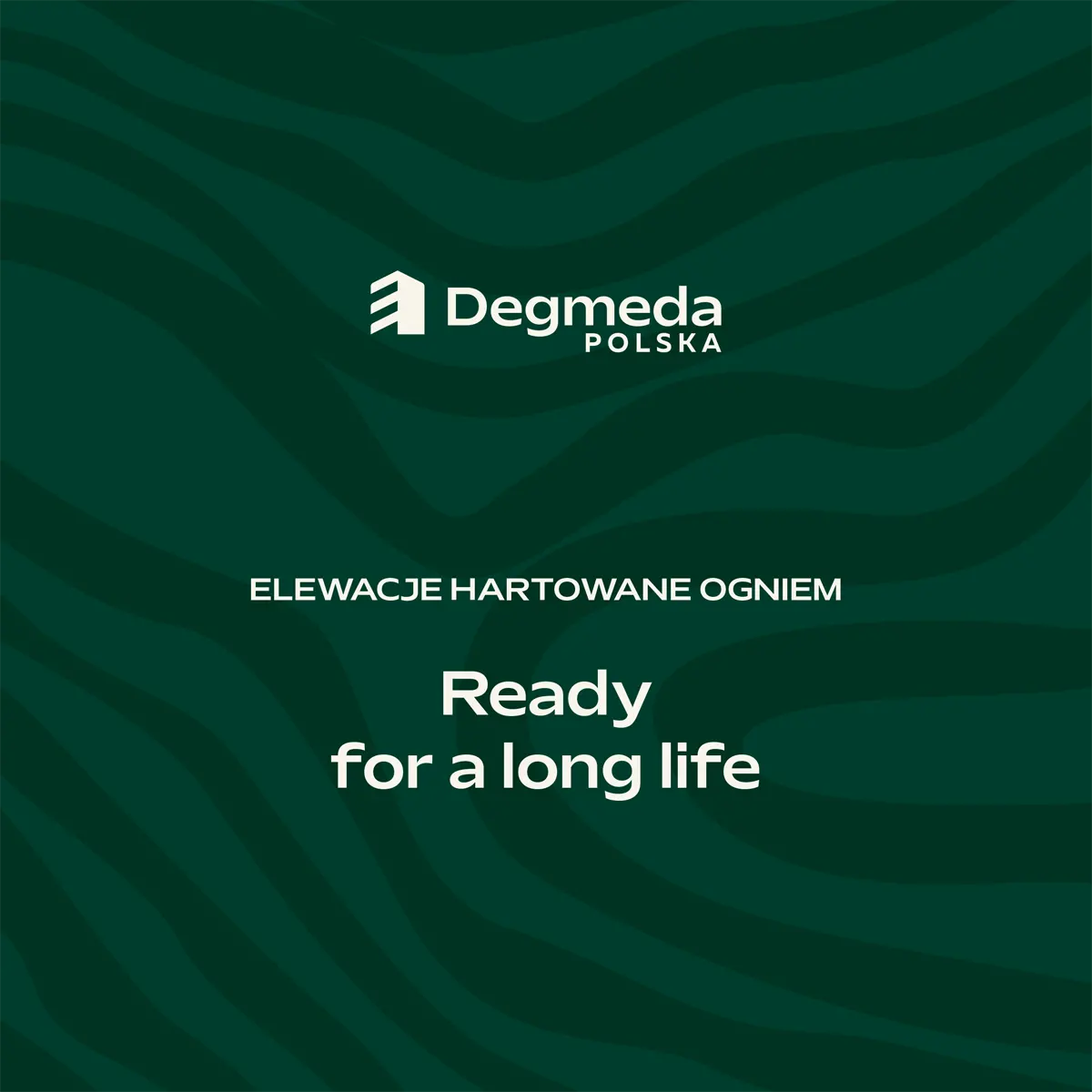 Elewacje Shou Sugi Ban - Degmeda - Polska