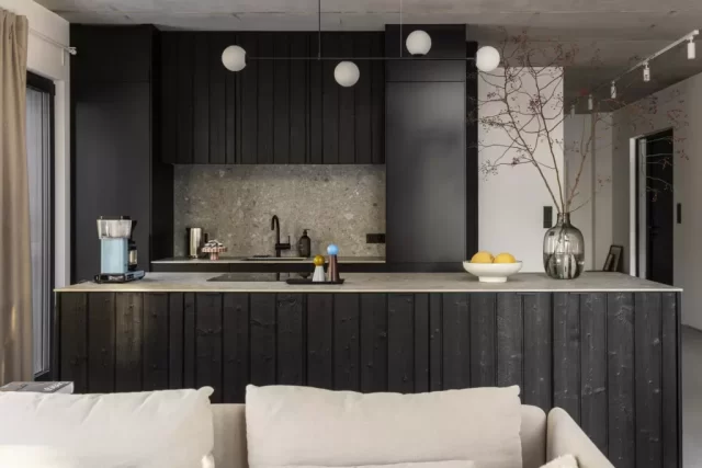 Elewacje Shou Sugi Ban - Degmeda - Świerk skandynawski - Hopdolasu Elewacje Shou Sugi Ban - Degmeda - Świerk skandynawski - Hopdolasu