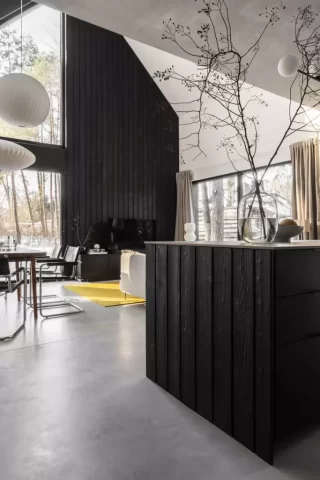 Elewacje Shou Sugi Ban - Degmeda - Świerk skandynawski - Hopdolasu Elewacje Shou Sugi Ban - Degmeda - Świerk skandynawski - Hopdolasu