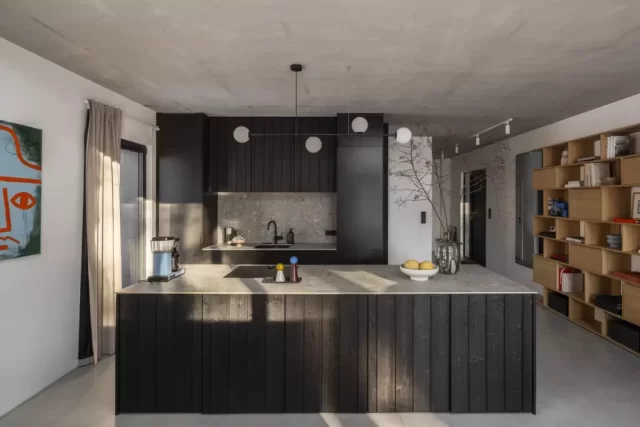 Elewacje Shou Sugi Ban - Degmeda - Świerk skandynawski - Hopdolasu Elewacje Shou Sugi Ban - Degmeda - Świerk skandynawski - Hopdolasu